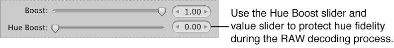 Figure. Hue Boost controls in the RAW Fine Tuning area of the Adjustments inspector.