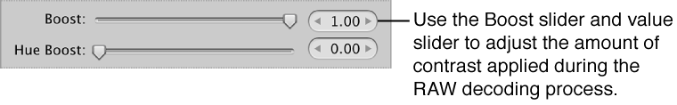 Figure. Boost controls in the RAW Fine Tuning area of the Adjustments inspector.