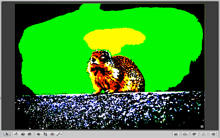Figure. Viewer displaying an image with color clipping overlays turned on.