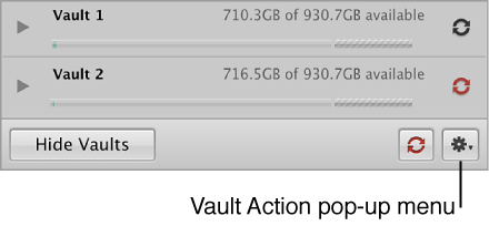 Figure. Controls in the Vault pane.