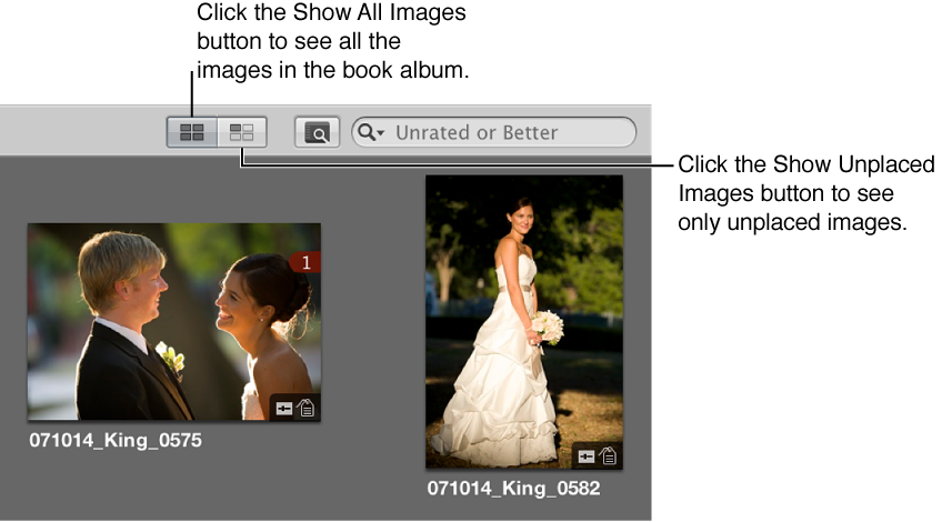 Figure. Show All Images and Show Unplaced Images buttons in the Browser.