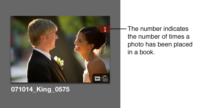 Figure. Browser thumbnail with a number at the the top-right corner indicating how many times the image has been used in the book.