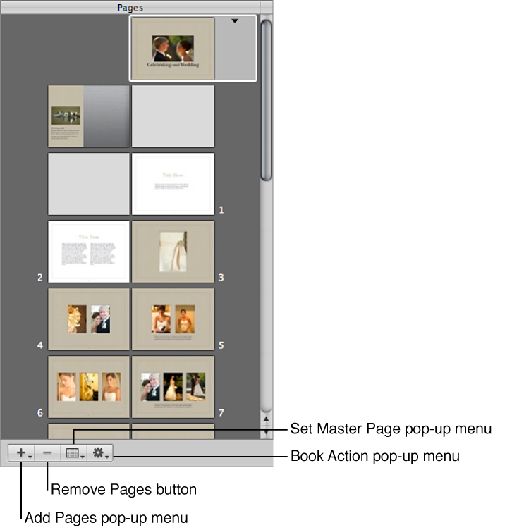 Figure. Controls in the Pages pane of the Book Layout Editor.