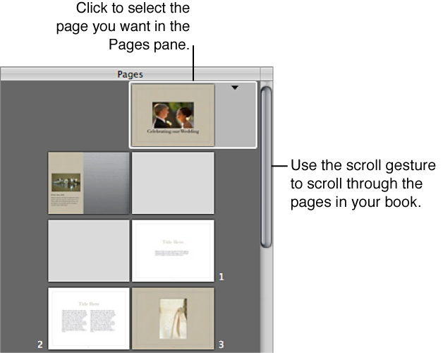 Figure. Controls in the Pages pane of the Book Layout Editor.