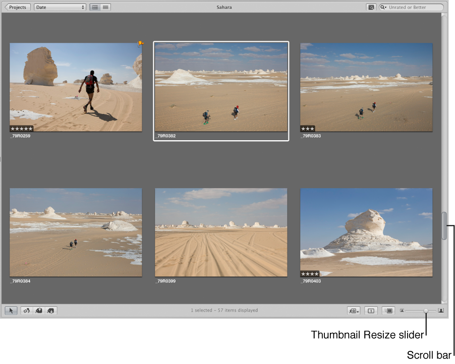 Figure. Browser in grid view.