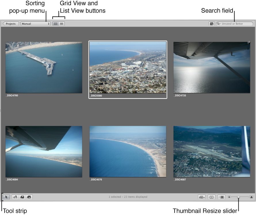 Figure. Controls in the Browser in grid view.