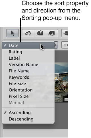 Figure. Sorting pop-up menu options in the Browser.