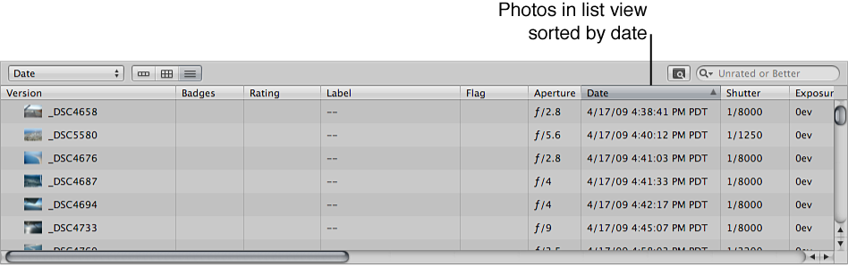 Figure. Browser in list view showing images sorted by date.