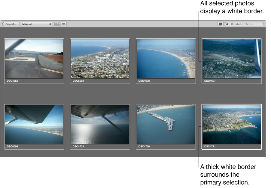 Figure. Browser showing a primary selection with a thick white border and other selected images with a thin white border.