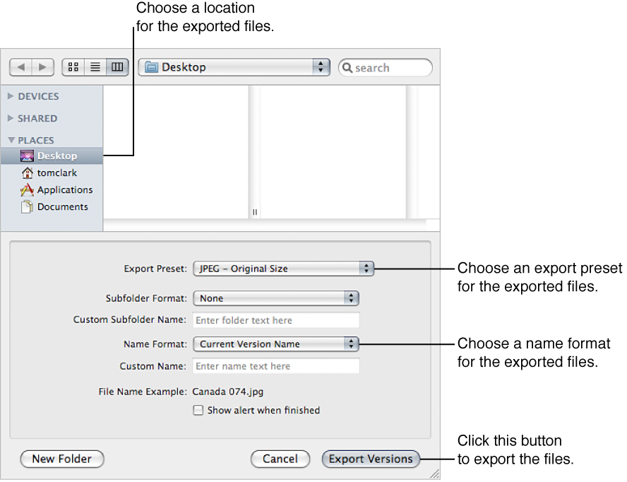 Figure. Controls in the Export dialog.