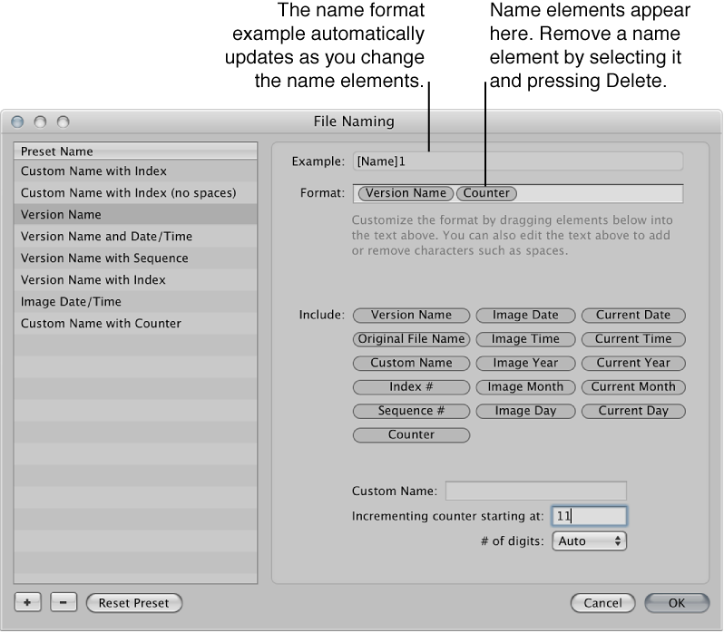 Figure. Name elements used to create filenaming presets in the File Naming dialog.