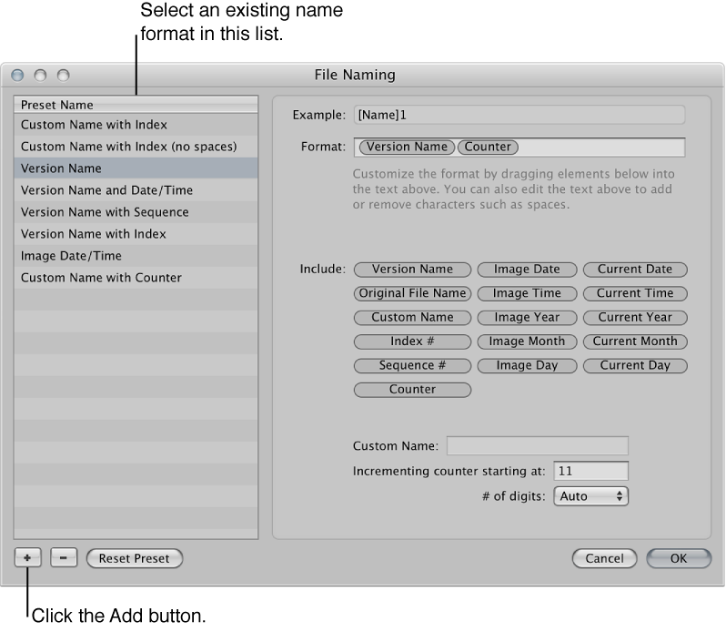 Figure. Name format selected in the File Naming dialog.