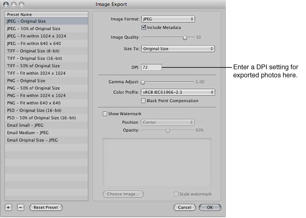Figure. DPI setting control in the Image Export dialog.