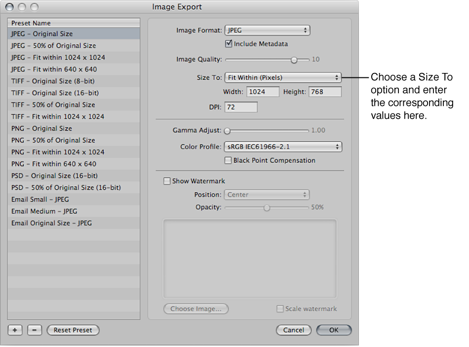Figure. Size To options in the Image Export dialog.