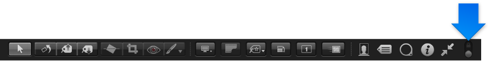 Figure. Full Screen view toolbar showing the Always Show Toolbar control.