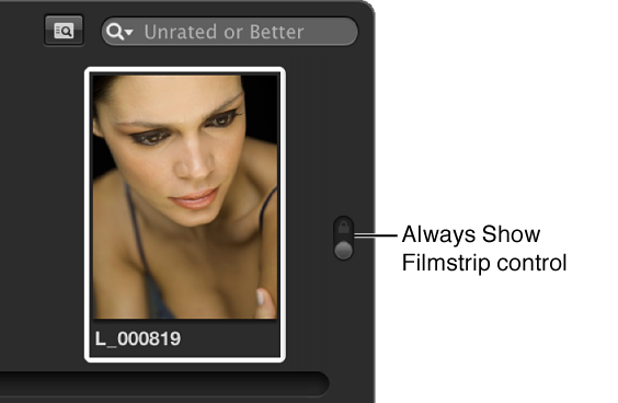 Figure. Always Show Filmstrip control in the locked postion.