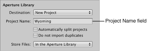 Figure. Destination pop-up menu in the Import browser.