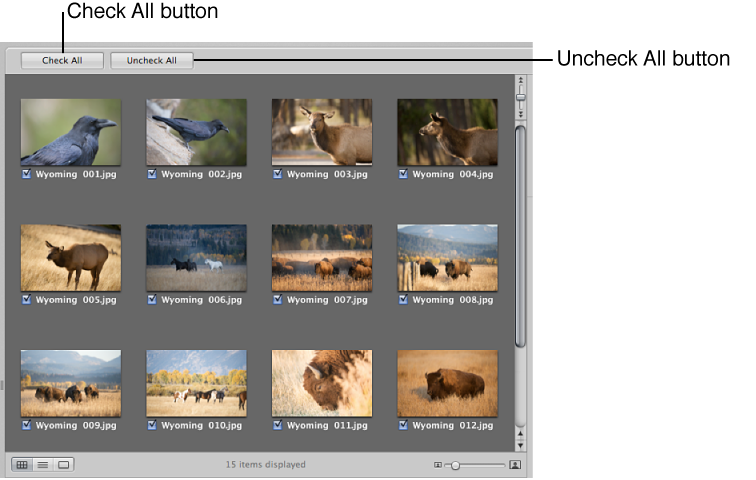 Figure. Check All and Uncheck All buttons in the Import browser.
