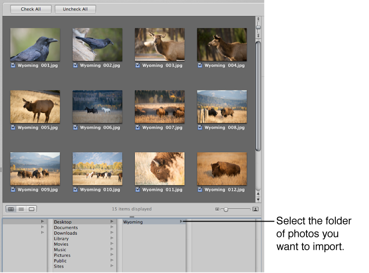 Figure. Files being selected in the Import browser.