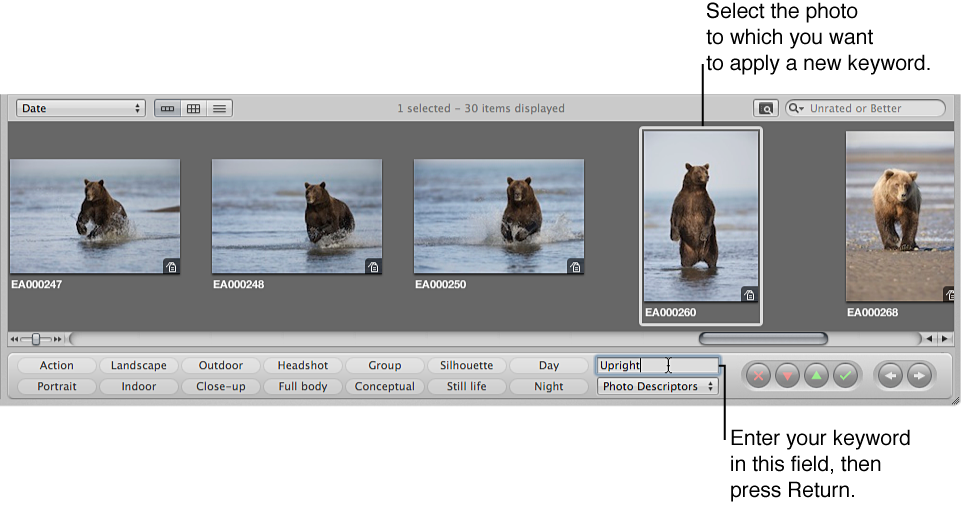 Figure. Browser showing a selected image and a new keyword being entered in the Add Keyword field in the control bar.