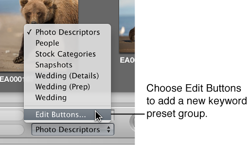 Figure. Keyword Preset Group pop-up menu showing the Edit Buttons command.