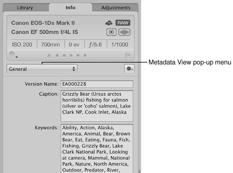 Figure. Metadata inspector showing the Metadata View pop-up menu and the Keywords field.