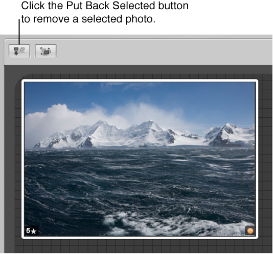 Figure. Put Back Selected button in the Light Table.