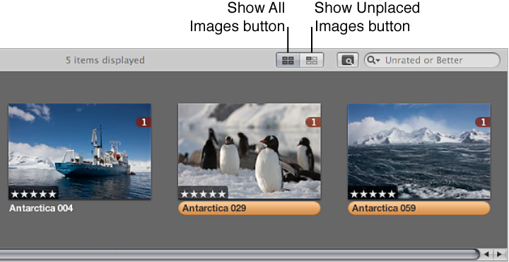 Figure. Show All Images and Show Unplaced Images buttons in the Light Table.