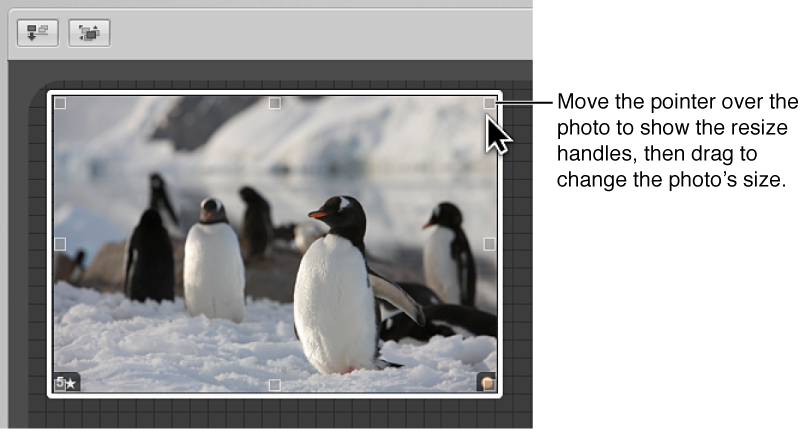 Figure. Light Table showing a resize handle that can be dragged to change the image's size.