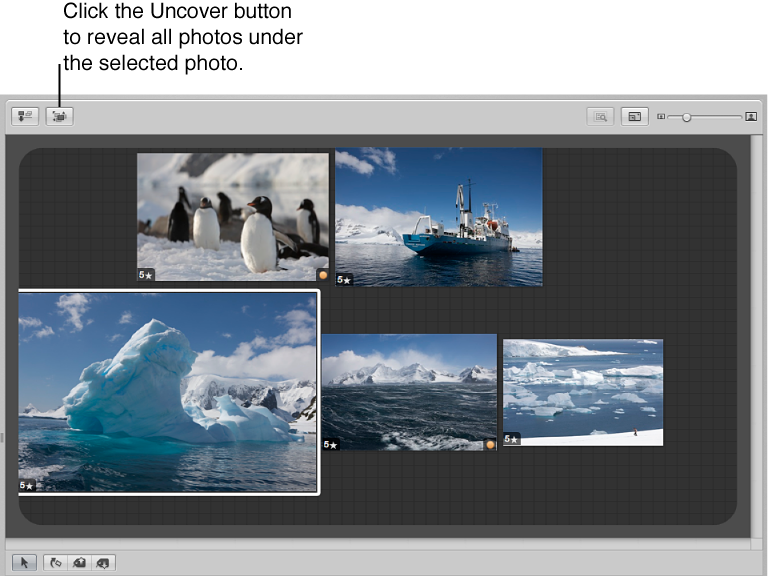 Figure. Light Table showing the same group of images spread out.