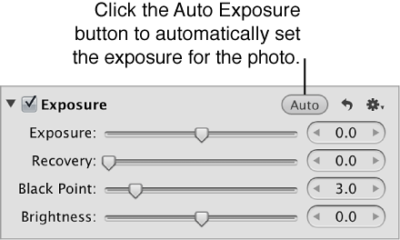 Figure. Auto Exposure button in the Adjustments inspector.