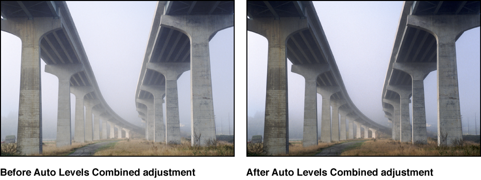 Figure. Image before and after an Auto Levels Combined adjustment.