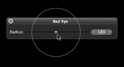 Figure. Circular overlay appearing over the Radius slider in the Red Eye HUD to indicate the size of the Red Eye target overlay.