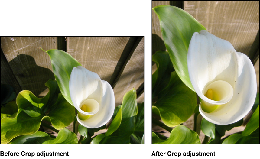 Figure. Image before and after a Crop adjustment.