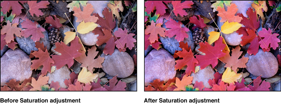 Figure. Image before and after a Saturation adjustment.