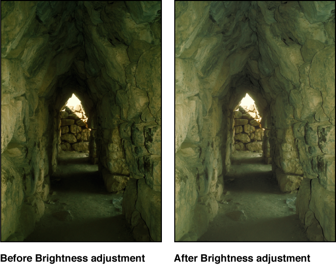 Figure. Image before and after a Brightness adjustment.