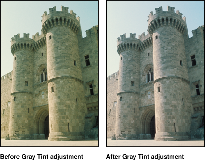 Figure. Image before and after a Gray Tint adjustment.