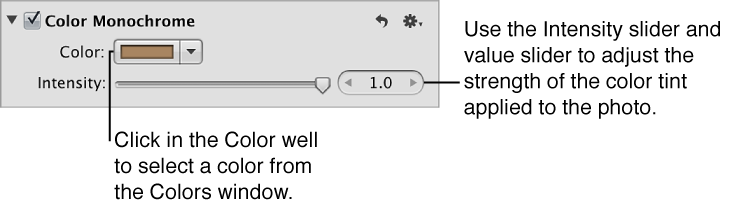 Figure. Controls in the Color Monochrome area of the Adjustments inspector.