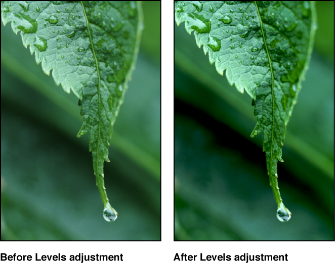 Figure. Image before and after a Levels adjustment.