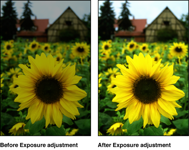 Figure. Image before and after an Exposure adjustment.