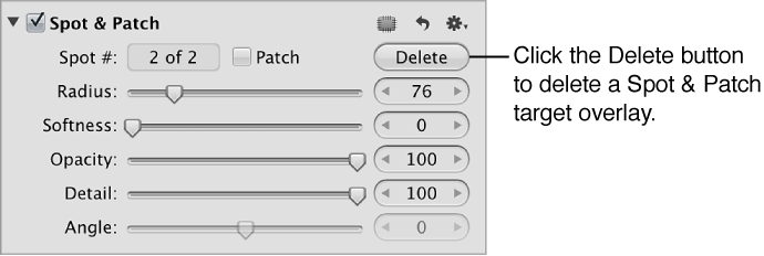 Figure. Delete button in the Spot & Patch area of the Adjustments inspector.