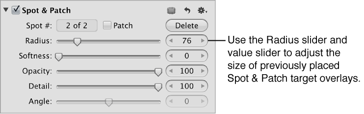 Figure. Radius controls in the Spot & Patch area of the Adjustments inspector.