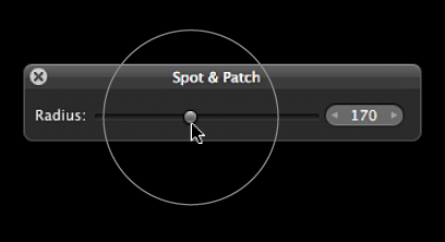 Figure. Circular overlay appearing over the Radius slider in the Spot & Patch HUD to indicate the size of the Spot & Patch target overlay.