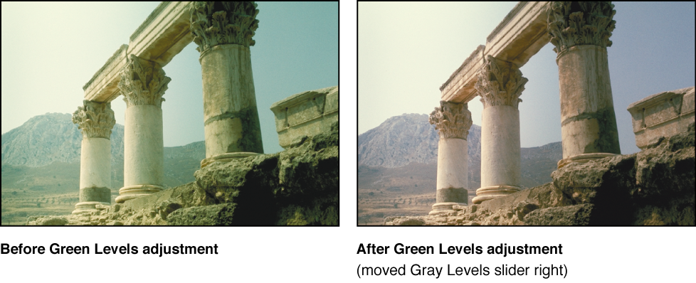 Figure. Image before and after a Green Levels adjustment.