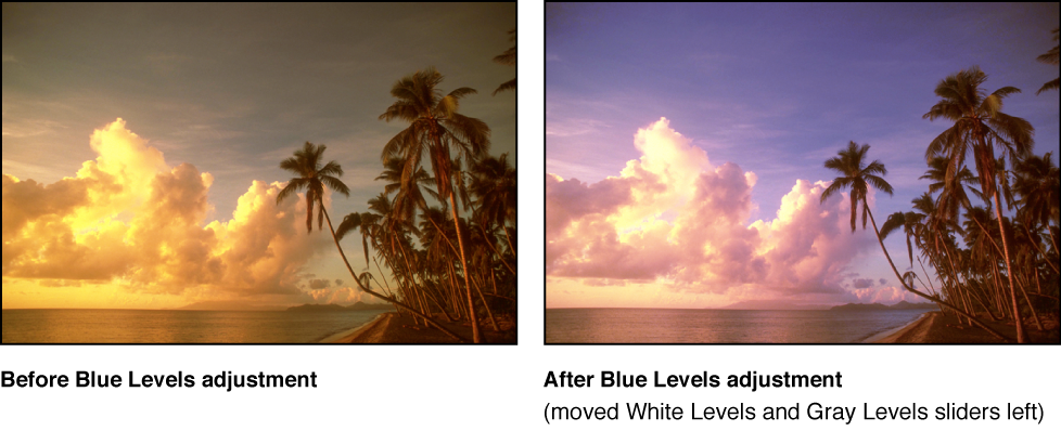 Figure. Image before and after a Blue Levels adjustment.