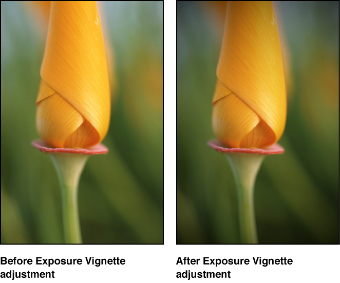 Figure. Image before and after an Exposure Vignette adjustment.