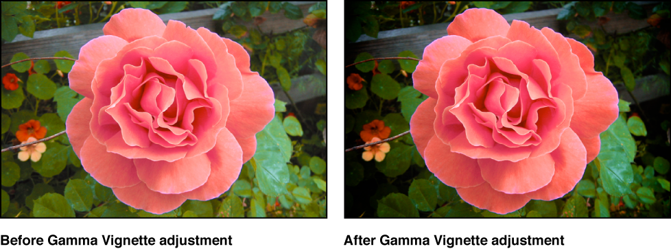 Figure. Image before and after a Gamma Vignette adjustment.
