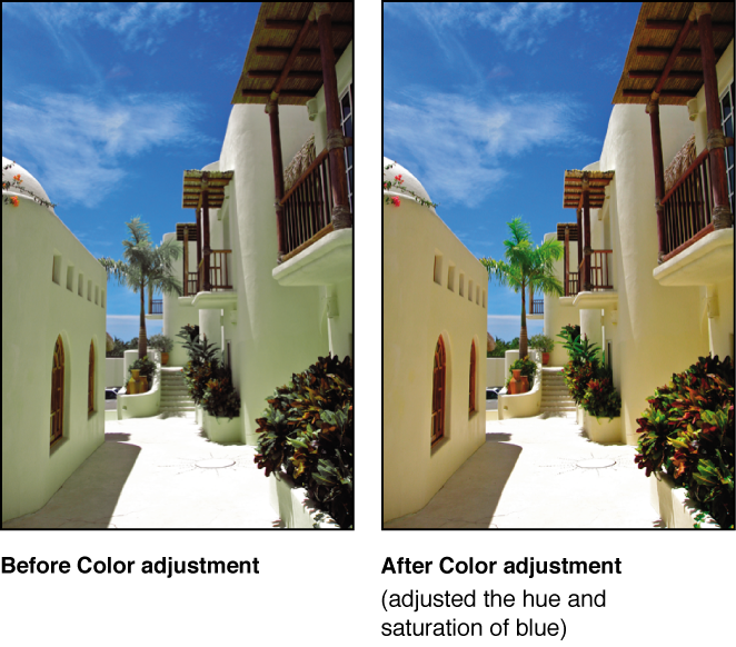 Figure. Image before and after a Color adjustment.