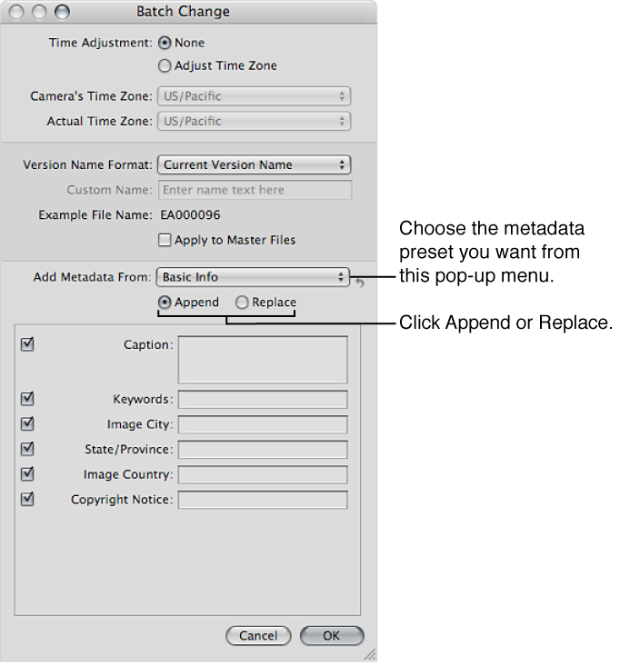 Figure. Batch Change dialog.