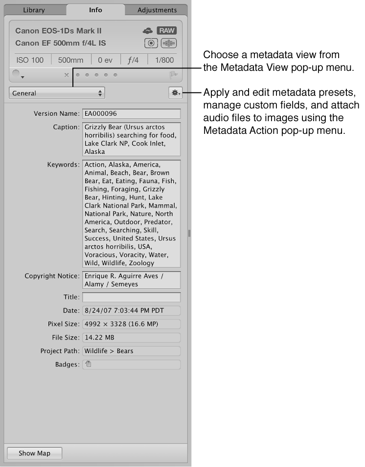 Figure. Metadata inspector.